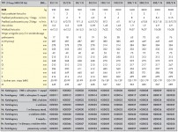 Wciągnik łańcuchowy elektryczny typ Altus EME